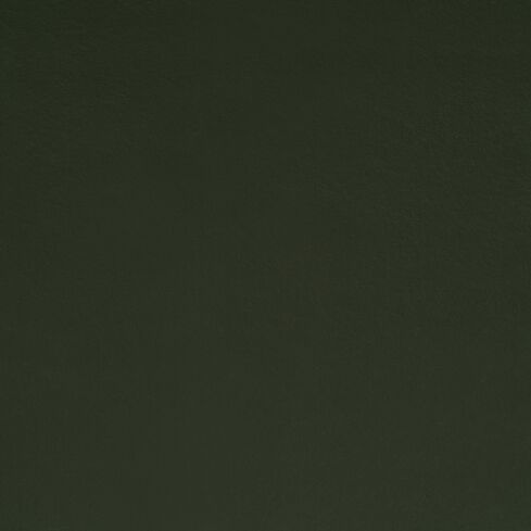 Mod Cabinetry Nations Paint Sage Green Texture